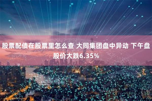 股票配债在股票里怎么查 大同集团盘中异动 下午盘股价大跌6.35%