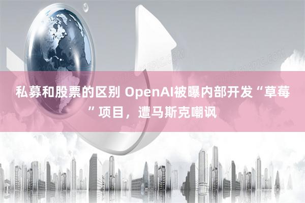 私募和股票的区别 OpenAI被曝内部开发“草莓”项目，遭马斯克嘲讽