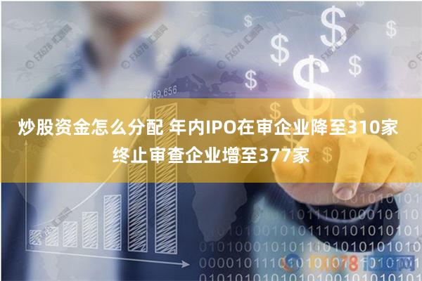 炒股资金怎么分配 年内IPO在审企业降至310家 终止审查企业增至377家