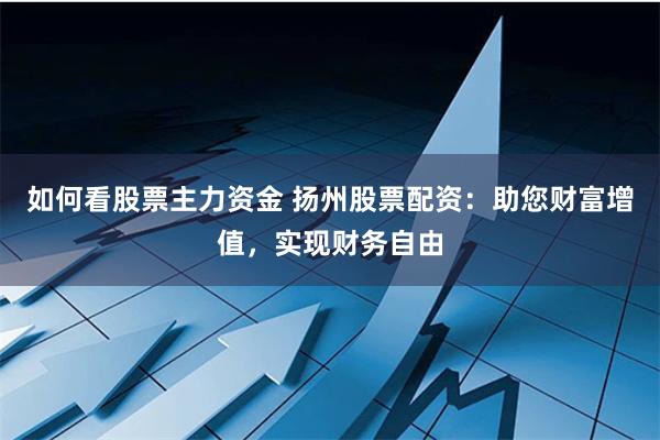 如何看股票主力资金 扬州股票配资：助您财富增值，实现财务自由