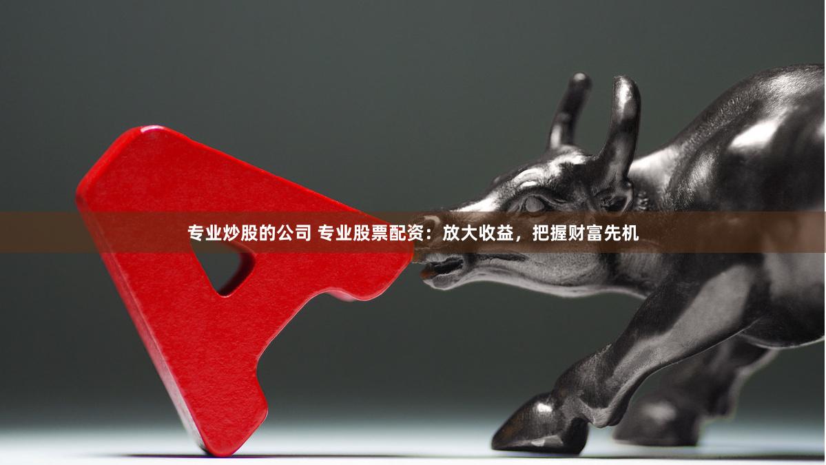 专业炒股的公司 专业股票配资：放大收益，把握财富先机