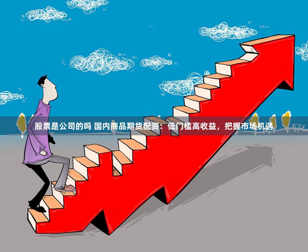 股票是公司的吗 国内商品期货配资：低门槛高收益，把握市场机遇